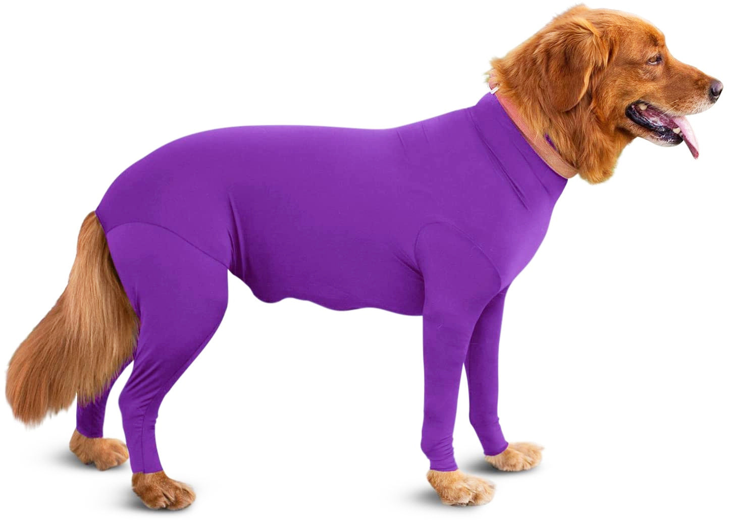 Zhongda Dog Manufacturer'S All Inclusive Four Legged Autumn And Winter New Dog Clothing Four Legged Clothing Pet Clothing Cat Elastic Product information： colour ： Four leg elastic sexy clothes are pure red, four leg elastic sexy clothes are purple, four