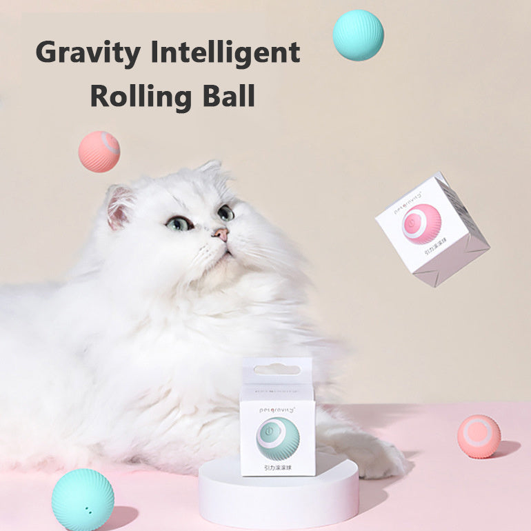 Cat Gravity Intelligent Rolling Ball Tease Toy Pet Automatic Rotating Ball Overview: 1. 43mm in "claw control" Different from the traditional rolling ball size on the market More suitable for cats The 'sense of control' of primitive hunting 2. Bionic Moti