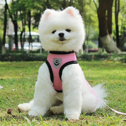 Pet Car Seat Belt Pet Leash Overview: It is designed to ensure that regardless of the conditions outside, you’ll still manage to take your pet on those walks that get their tail wagging like crazy. We`ve used mesh material that is breathable to keep your