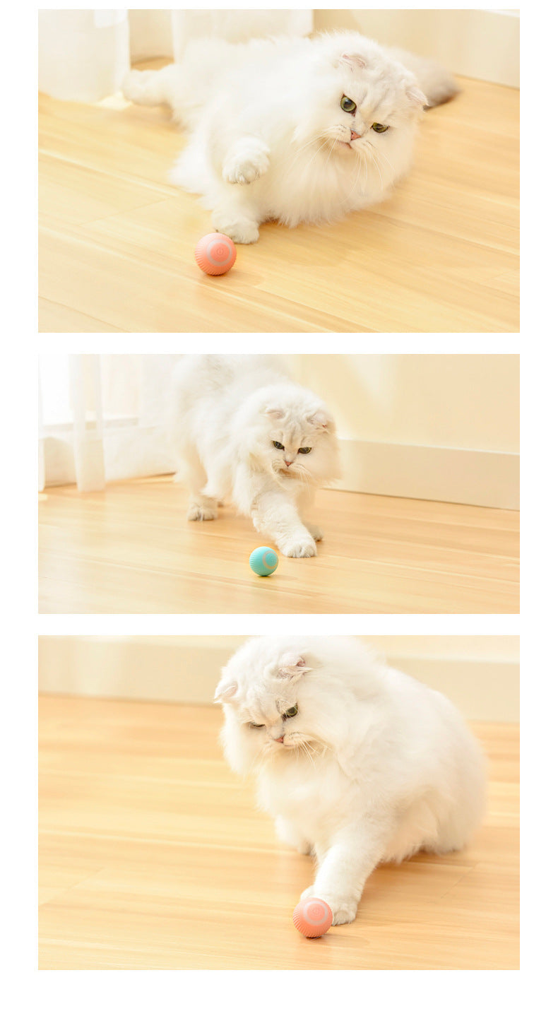 Cat Gravity Intelligent Rolling Ball Tease Toy Pet Automatic Rotating Ball Overview: 1. 43mm in "claw control" Different from the traditional rolling ball size on the market More suitable for cats The 'sense of control' of primitive hunting 2. Bionic Moti
