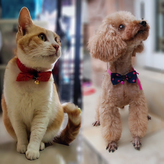 Pet accessories pet bow Material: Polyester Product category jewelry Project type: dog and cat Accessories item: dog and cat bow tie Feature 1: with copper bell Feature 2: with adjustable neck band Neck strap size: adjustable to 56 cm (22 inches) Pet acce