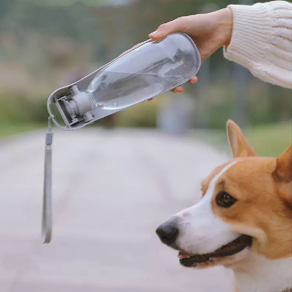 Portable Dog Water Bottle For Small Large Dogs Foldable Lightweight Drinking Bowl Outdoor Travel Walking Running Puppy Supplies Product Information: Material: ABS/PET/PP Color: Lake blue, vibrant orange, elegant grey Applicable to: Dogs Category: Water Bo