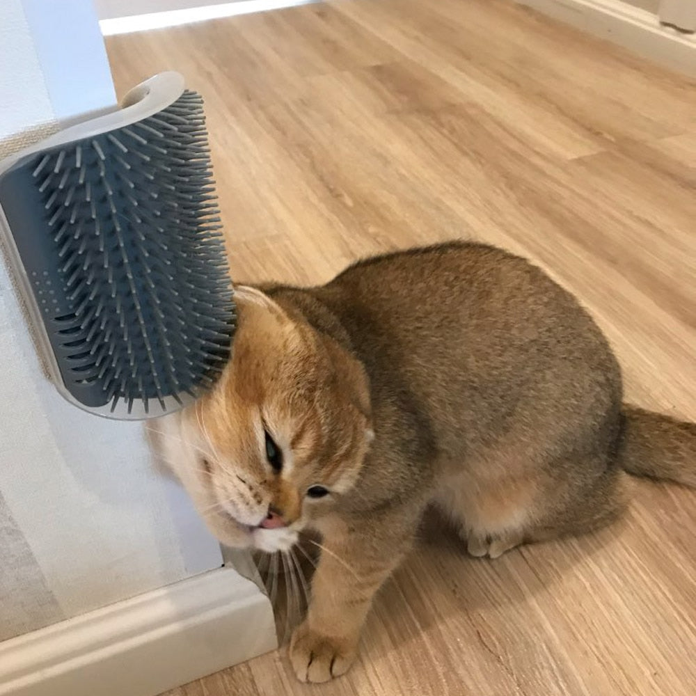 Cat Self Groomer Corner Brush Features:The product is designed according to the living habits of the cat.It plays the role of the rubbing of a cat.In combing the cat's hair, it can remove loose and shedding hair.It is equipped to attract the cat's eye, pr